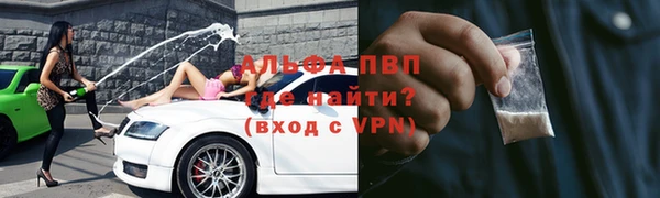 стафф Арсеньев