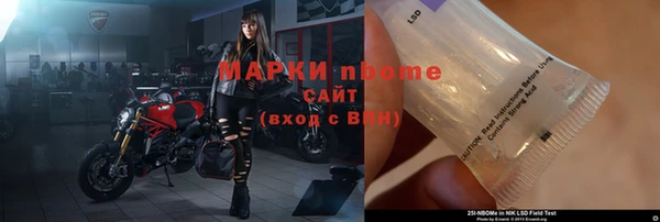 стафф Арсеньев
