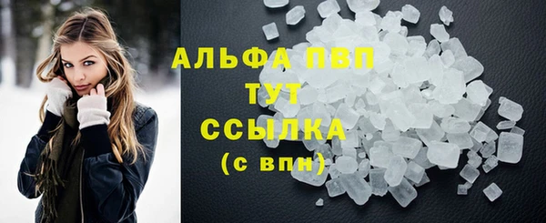 стафф Арсеньев