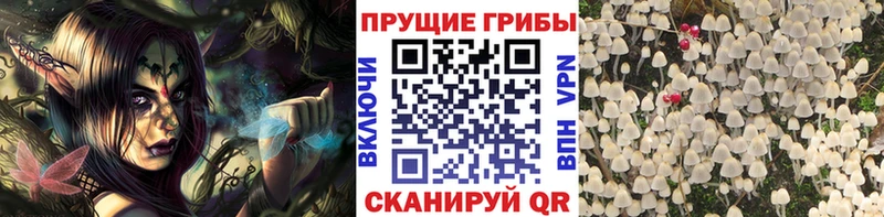 Псилоцибиновые грибы MAGIC MUSHROOMS  Палласовка 